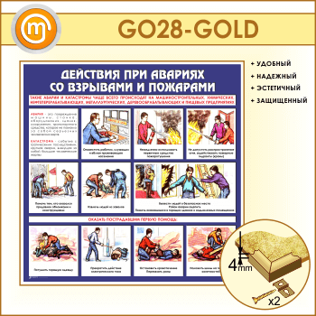         (GO-28-GOLD)